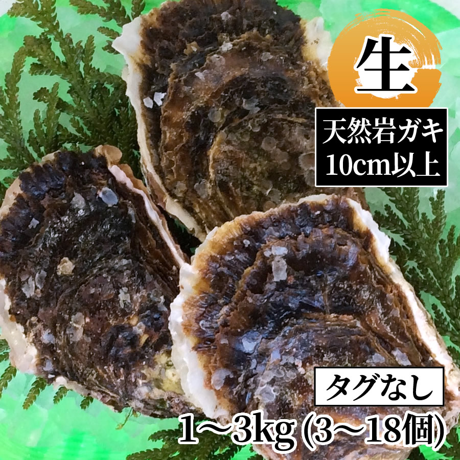 鳥取県産 天然岩ガキお任せセット 1～3kg（3～18個）