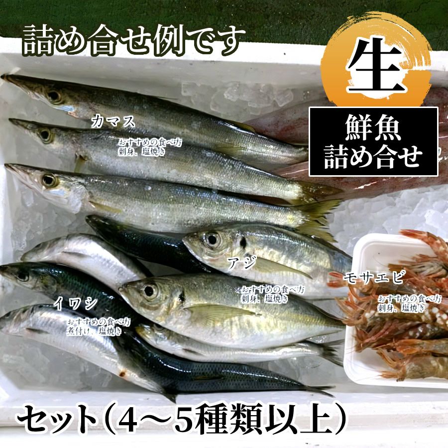 鮮魚詰め合せセット（4～5種類以上）