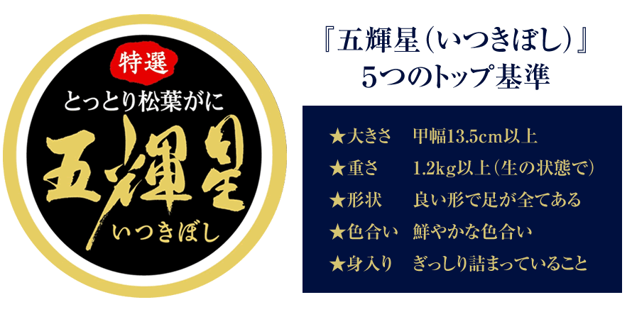 最高級 松葉ガニ『五輝星』 姿1.2kg以上(生またはボイル) | 魚倉 最高級 松葉ガニ『五輝星』 姿1.2kg以上(生またはボイル) | 魚倉