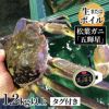 【極上】松葉ガニ 1.5kg超特大サイズ 極上】松葉ガニ 1.5kg超特大サイズ