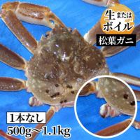 訳あり 松葉ガニ 足1本無し 姿500g～1.1kg（生またはボイル） | 魚倉