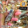 モサエビ 活1kg