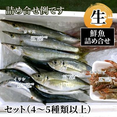 鮮魚詰め合せセット