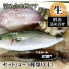 鮮魚詰め合せセット