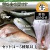 鮮魚詰め合せセット