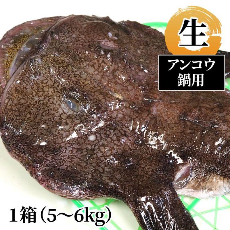 アンコウ鍋用 生5～6kg