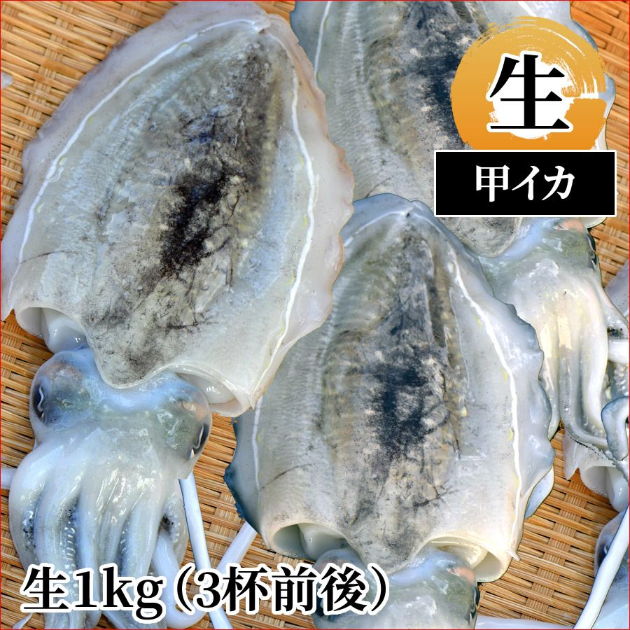 甲イカ（生1kg 3杯前後）