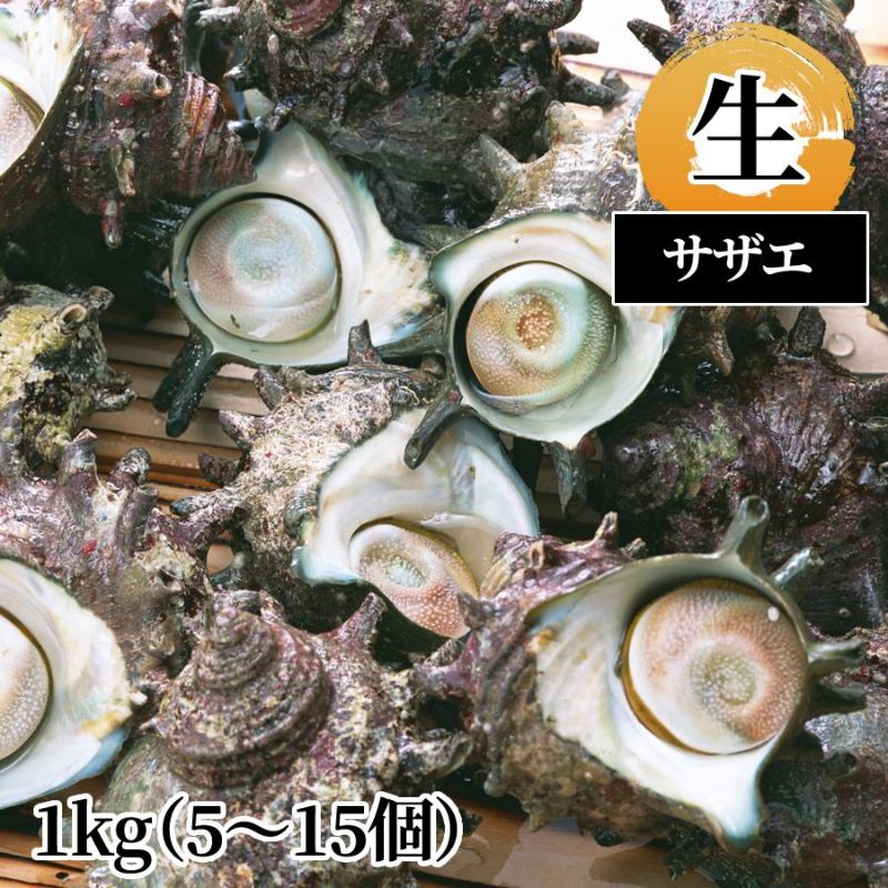 サザエ 生1kg
